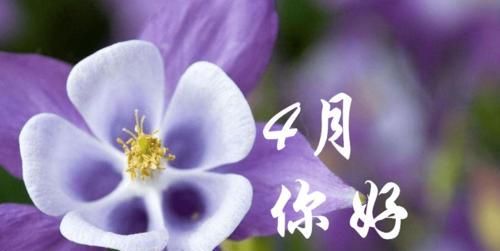 3月再见4月你好怎么发朋友圈（别离与相遇，生命的循环）