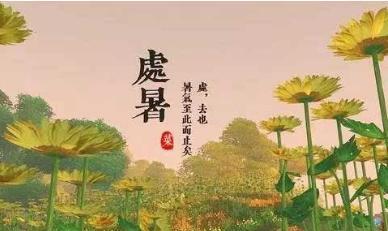 今天是处暑怎么发朋友圈（处暑的美丽神话）