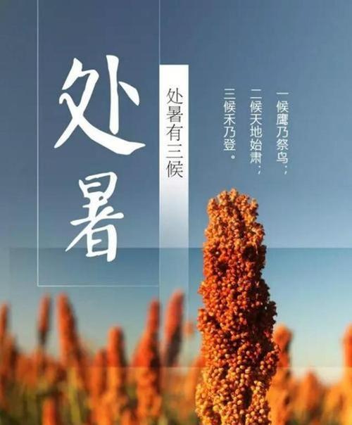 今天是处暑怎么发朋友圈（处暑美丽短句汇总）