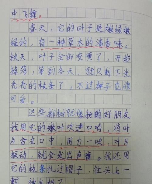 关于柳树的作文800字（《一段关于友情与成长的故事》）