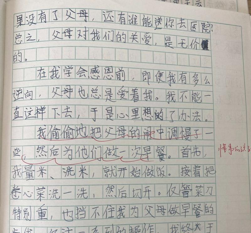 关于家人对我的爱的作文怎么写（《深情的牵绊》）