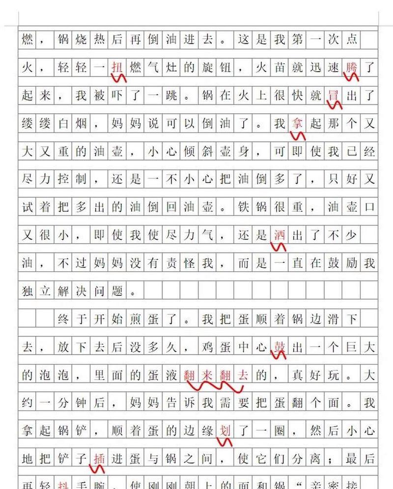 煎鸡蛋这篇作文怎么写（《煎鸡蛋》）