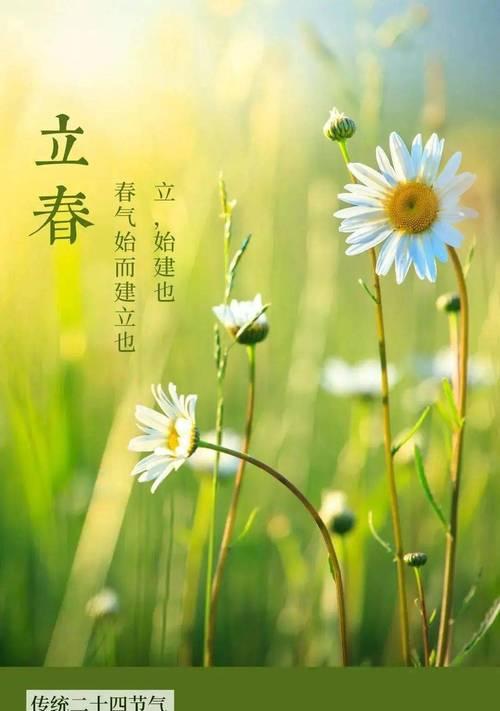 立春的祝福语怎么说（立春美好祝福语：迎接春天的到来）