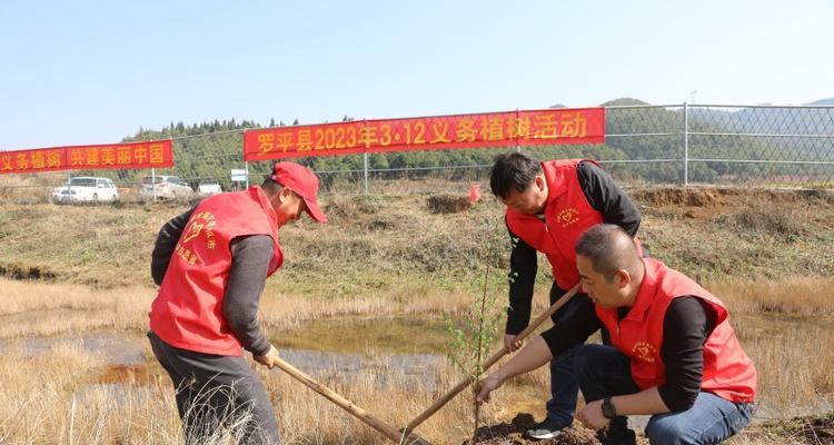 植树节宣传标语口号（绿色铸就未来）