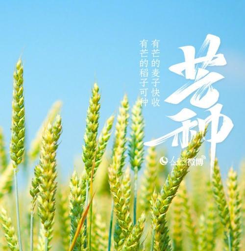 芒种适合发朋友圈的句子（梦幻芒种，美丽如画）