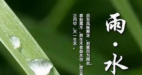 雨水节气怎么发朋友圈（雨水节气，滋润生命之源）