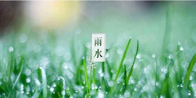 有关2024雨水创意祝福语朋友圈的句子怎么写（2024雨水创意祝福语：唤醒心中的美好）