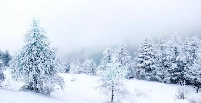 今年第一次下雪怎么发朋友圈（2024年新年第一天的雪）