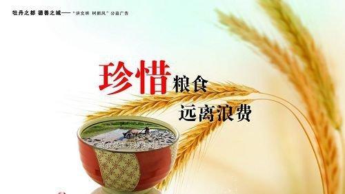 有关2024小学生珍惜粮食的句子的短句怎么写（珍惜粮食，从小做起）