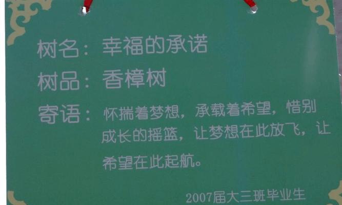 有关2024小学六年级毕业寄语的句子怎么写（用美好铸就未来，用感恩点燃生命）