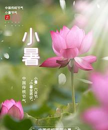 2024小暑节气怎么发说说（小暑的芳香祝福）