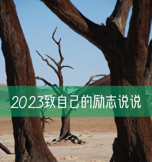 2024年五一时间（五一经典句子：劳动最光荣，奋斗最快乐！）