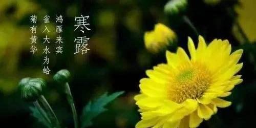 寒露节气怎么发朋友圈（适合寒露节气发的朋友圈好句）