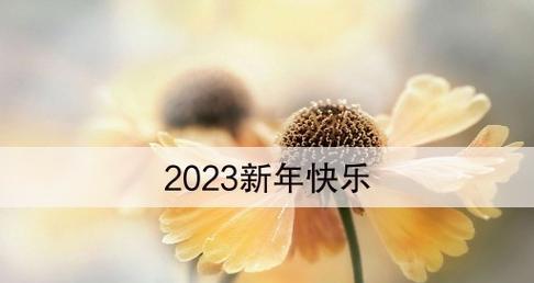 202年新年贺词怎么说（魅力2024，幸福相伴）