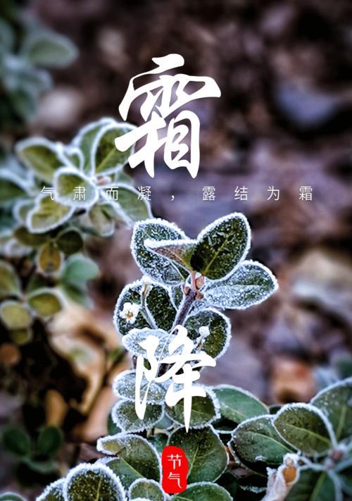 霜降怎么发朋友祝福的说说（用唯美短句传递温暖的霜降祝福）