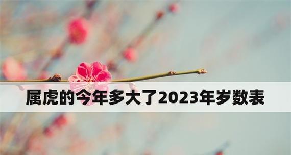 2024年怎么说（穿越时空，迎接2024）