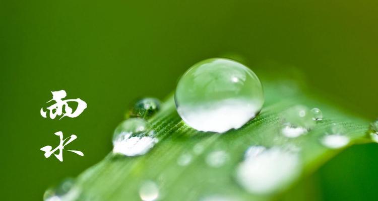 关于雨水节气的谚语跟意思（深情雨霖，梦里芳菲）