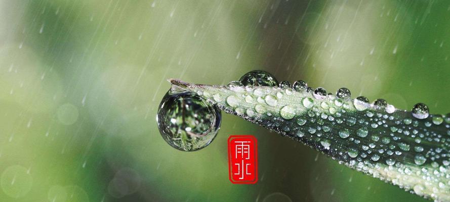 关于雨水节气的谚语跟意思（深情雨霖，梦里芳菲）