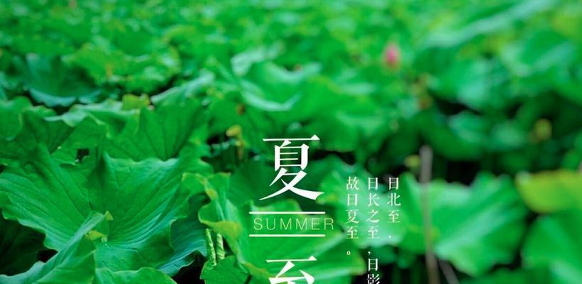 关于夏至的朋友圈怎么发（夏至情韵）