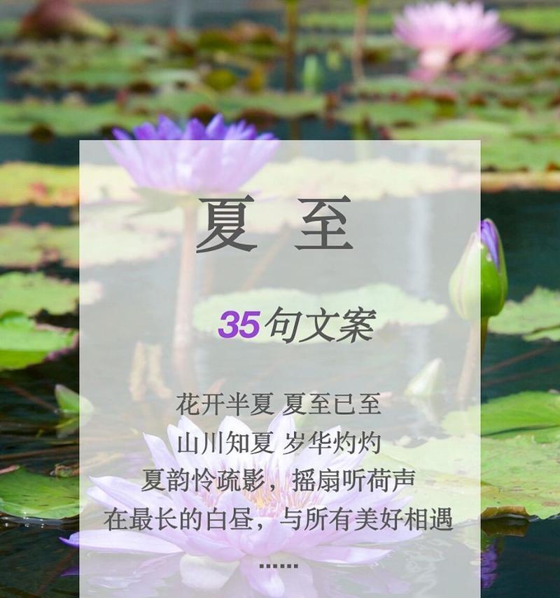 夏至快乐是什么意思（夏至的美好）