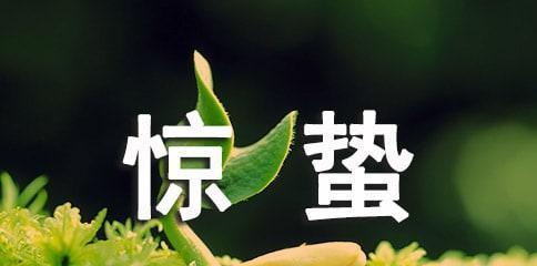 惊蛰季节的祝福古语（2024年惊蛰祝福语录）