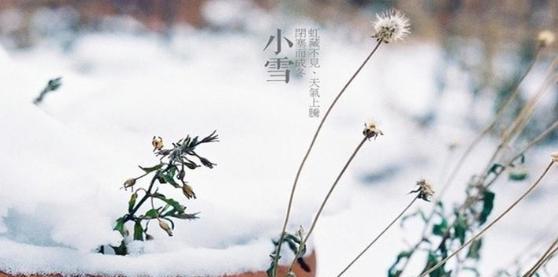 小雪的节气怎么发朋友圈（小雪节气朋友圈好句）