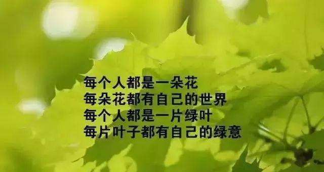 新的九月开始怎么发朋友圈（九月，新的开始）