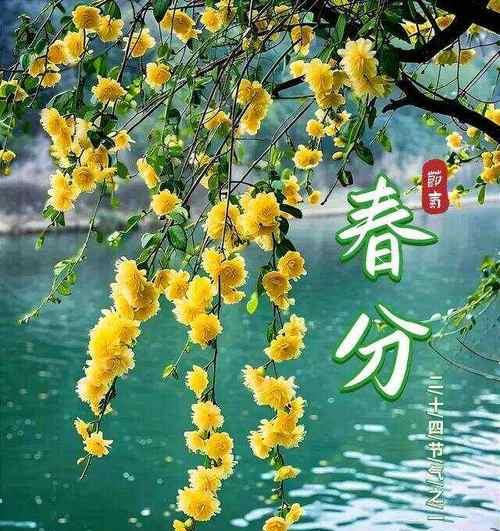 今日春分怎么祈福（暖春之祝福——2024今日春分贺词）