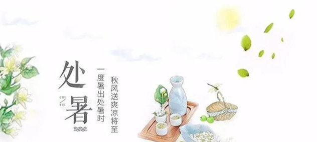 今天是处暑怎么发朋友圈（夏日璀璨——2024年今日处暑节气）