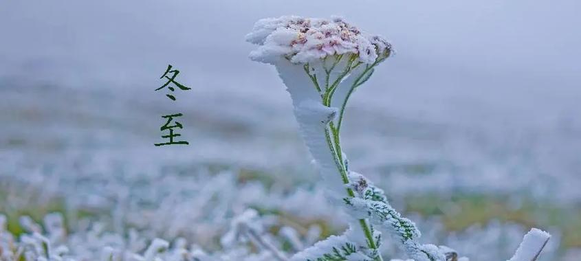 冬至发抖音怎么写（抖音上的冬至美好瞬间）