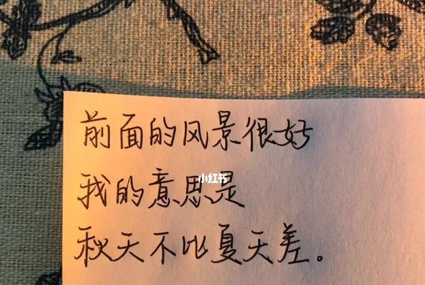 温柔了岁月的人是什么意思（《温柔岁月》）