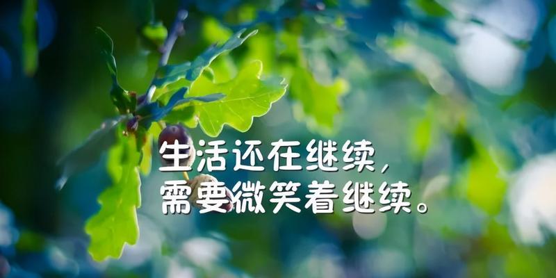 相遇无缘是什么意思（相逢却无缘，唯美短句铸就的人生遗憾）