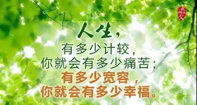 一生挚友的意思（《芳华绕指》——唯美诗句形容一生挚友）