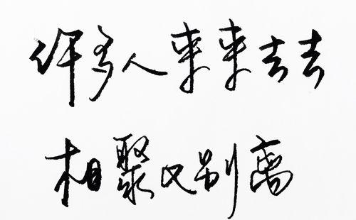 练字养心的简短名句（练字养心：一种美好的修行）