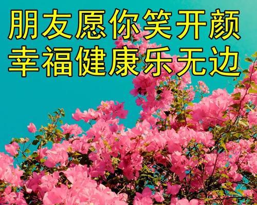 关于花的正能量的发圈句子（花开正能量——以花的美丽传递正能量）