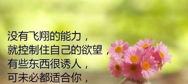 关于花的正能量的发圈句子（花开正能量——以花的美丽传递正能量）