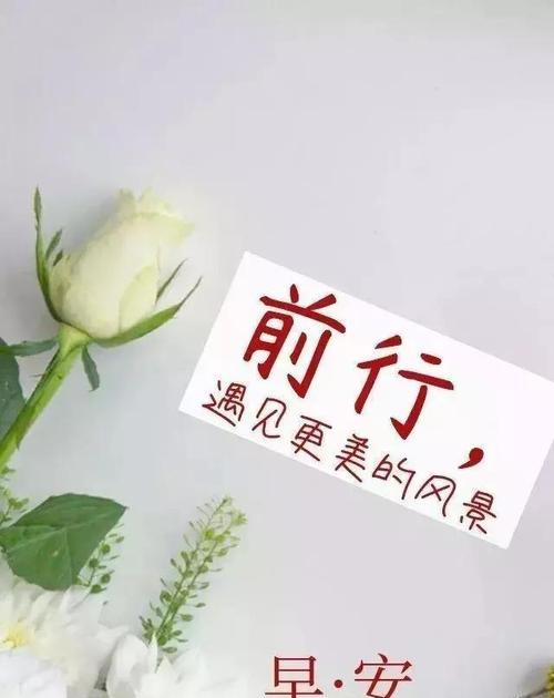 包包子发朋友圈适合怎么发（包子飘香，美好在唇齿间）