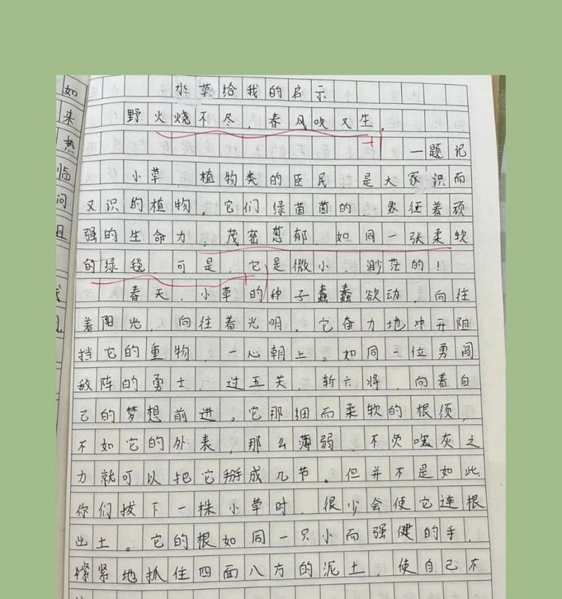 以启示记在心上为话题的作文怎么写（《一个普普通通的女孩的成长故事》）