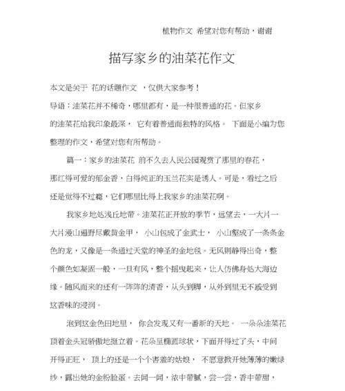 对家乡的情怀是什么意思（《对家乡的情怀》）