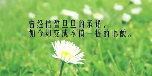 情绪人生是什么意思（人生情绪的唯美：穿越时光的情感回忆）