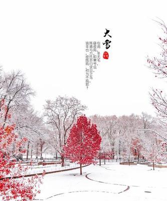 大雪节气温暖的句子（大雪节气下的暖心唯美）