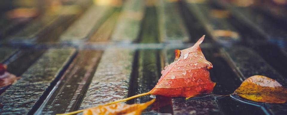 一场秋雨一场凉怎么说（窗前，听雨落花）