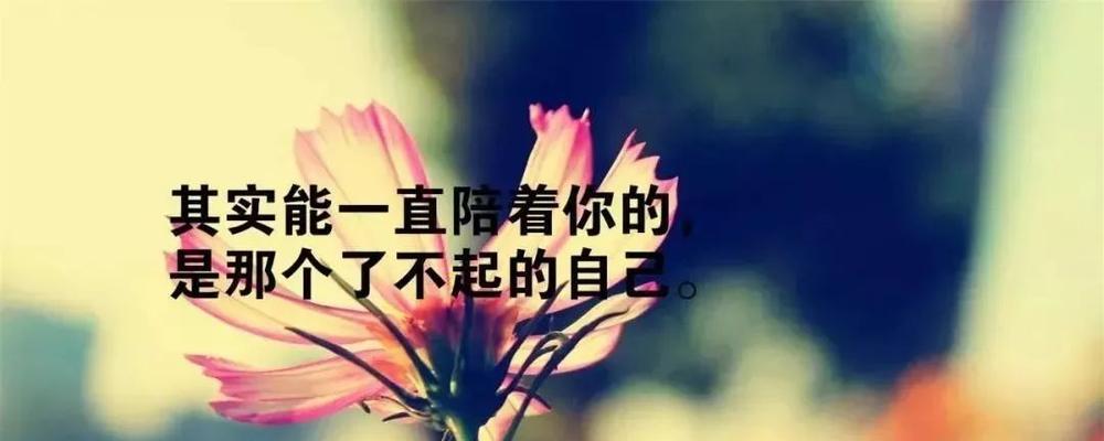 有关微信朋友圈的名言警句的句子怎么写（用文字唤醒生命的力量）