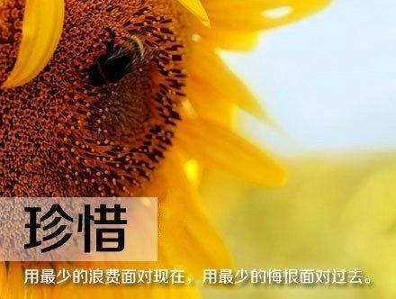 有关微信朋友圈的名言警句的句子怎么写（用文字唤醒生命的力量）