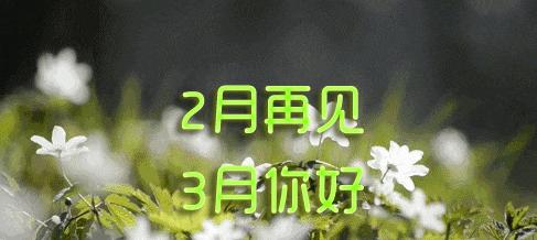 三月你好的句子怎么说（春光灿烂，心情美满，你好三月）