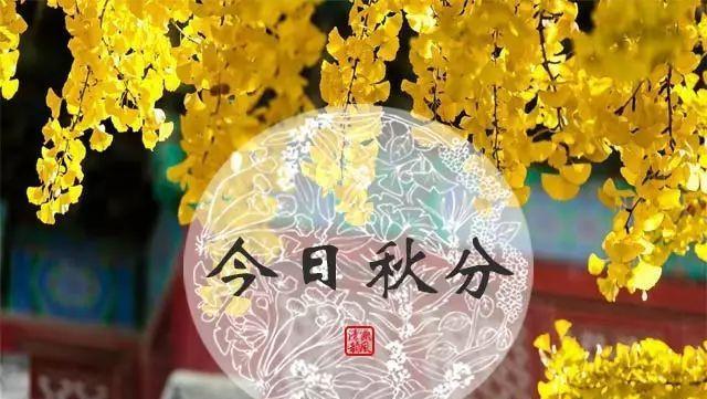 秋分节气怎么发朋友圈（2024秋分节气发朋友圈好句）