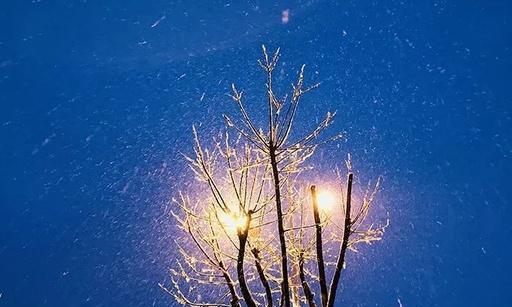 冬季第一场雪怎么发朋友圈（初雪飘落，如画人生）