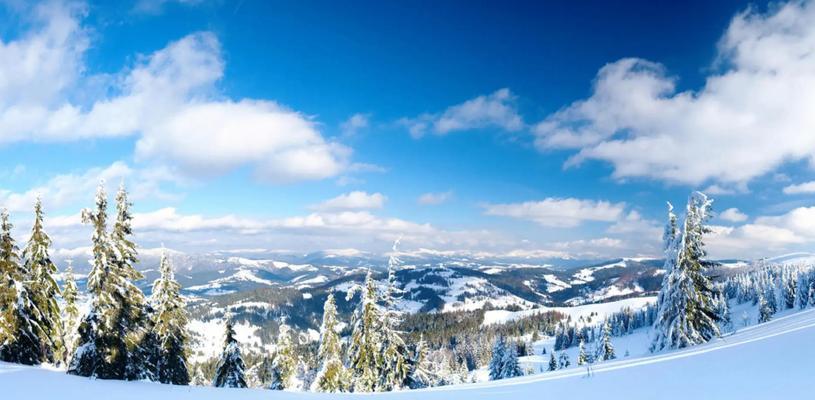 冬季第一场雪怎么发朋友圈（初雪飘落，如画人生）