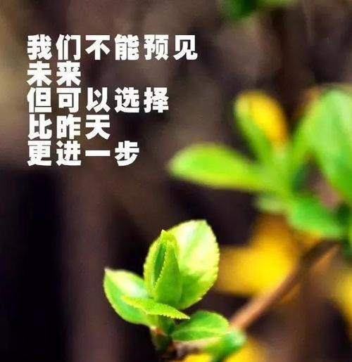 人生总有坎坷崎岖,意思是（名人名言警醒我们，守护我们的心灵）