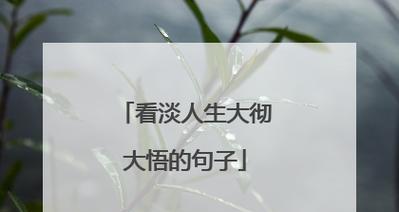 人生不过如此这本书怎么样（人生不过如此）